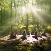 a_photograph_of_a_group_meditating_in_a_forest_RECT